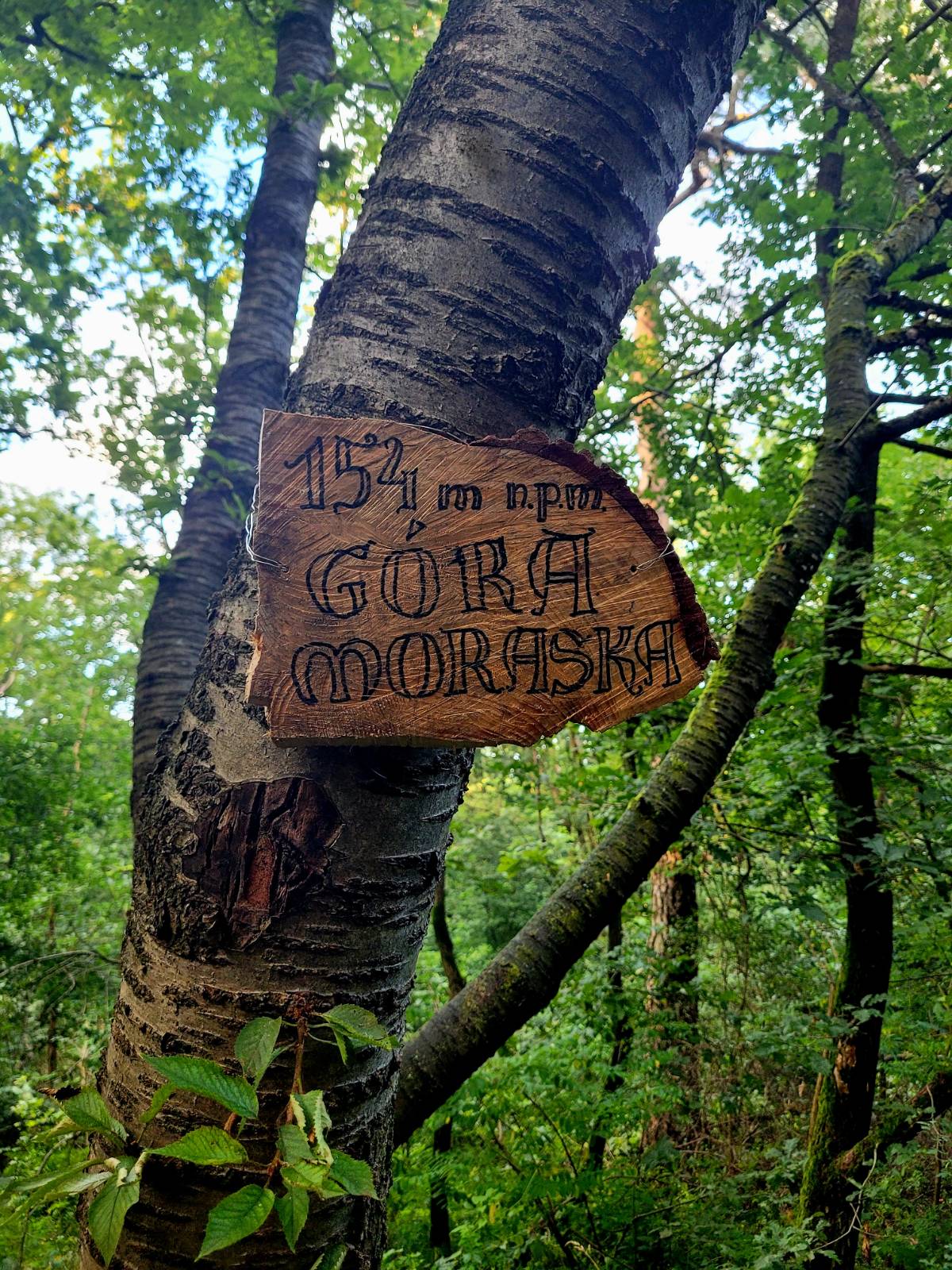 Żółty szlak pieszy w Poznaniu (nr 3585 – Szlak do Rezerwatu Meteorytów)